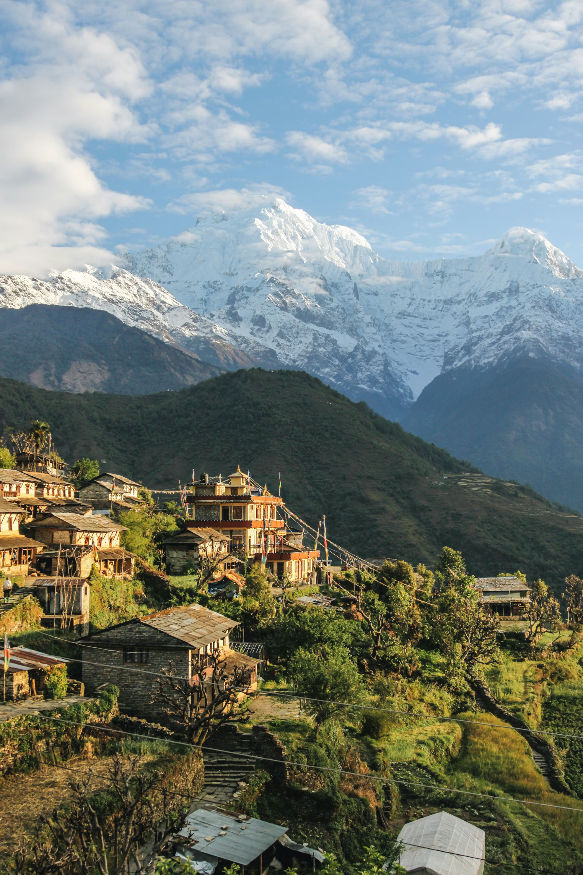 Himalayan Artisan